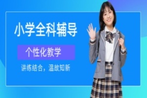 昆明小学全科辅导